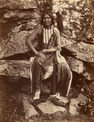 Orso Piccolo, Cheyenne